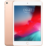 Apple iPad mini 5 (2019) verkaufen