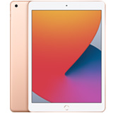 Apple iPad 10,2 Zoll (2020) verkaufen