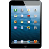 Apple iPad mini gebraucht kaufen
